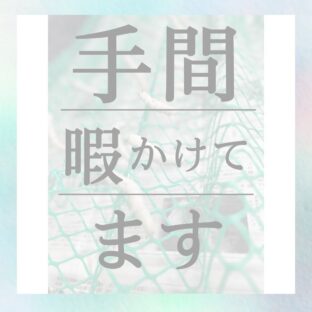 とても手間暇かけてます。